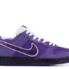 Nike Concepts X Dunk Low SB 'Purple Lobster'