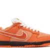 Nike Concepts X Dunk Low SB 'Orange Lobster' Special Box