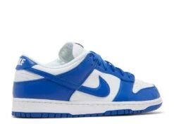 Nike Dunk Low Retro SP 'Kentucky' -Footwear Store 3 217